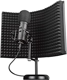 Isolate your voice from reflections bouncing off walls during studio recordings